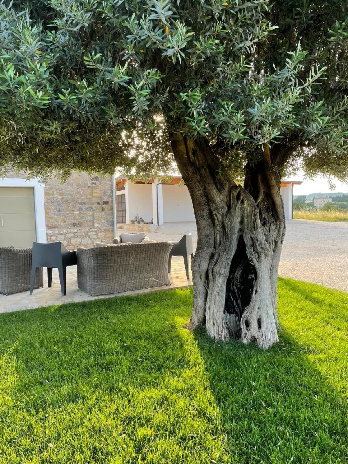 Alta Area Aparthotel Nova Siri Bagian luar foto